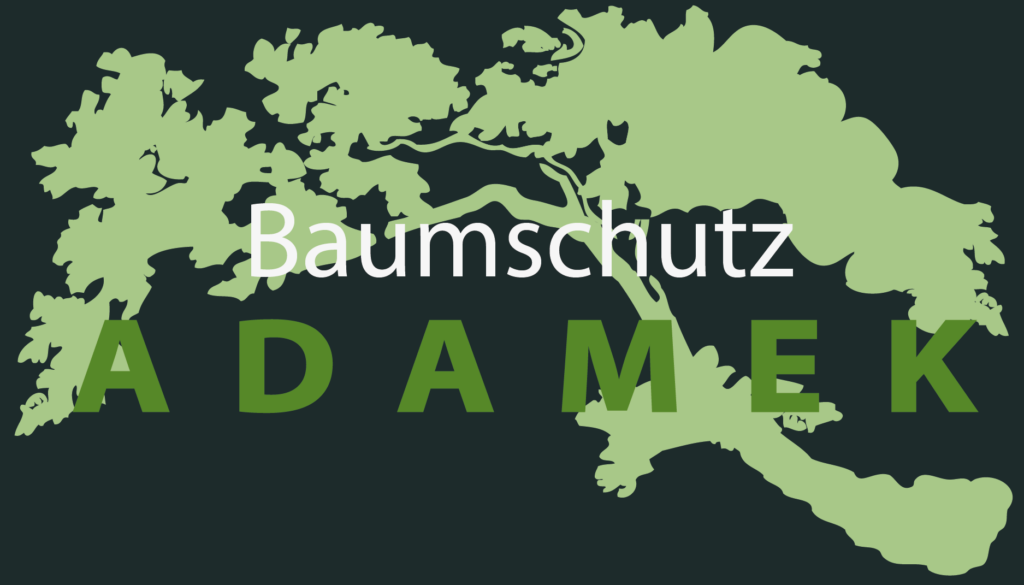 Logo Baumschutz 2026